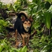 guide_nusalavu_v_0705_0048.jpg